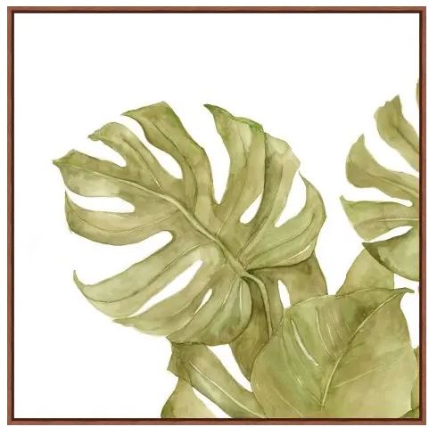 Monstera Foliage 1