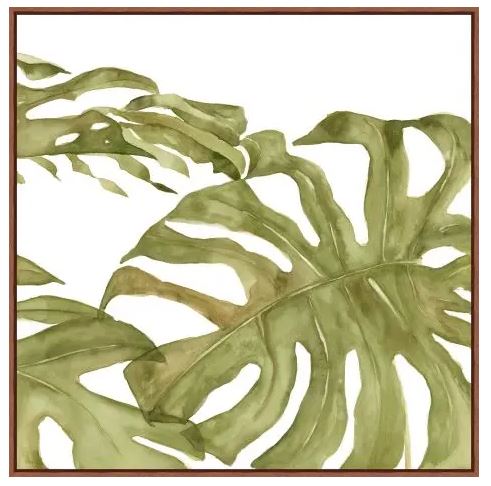 Monstera Foliage 3