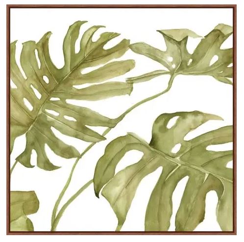 Monstera Foliage 2