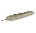Musa Banana Leaf Tray (Large)
