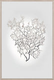 Nature Sea Fan III
