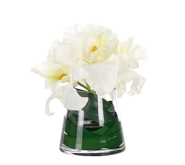 Orchid Cattleya, Faux Watergarden, 10"