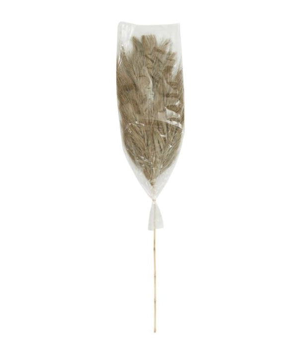 Flat Dried Khajur