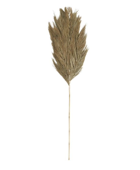Flat Dried Khajur