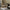 Rothler Dining Chair