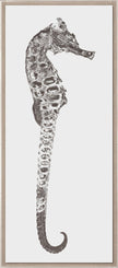 Rumana Seahorse I