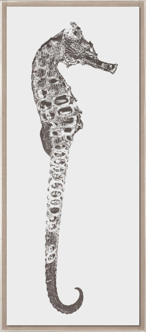 Rumana Seahorse I