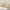 Gold Metal Sail Boat Decorative Sculpture