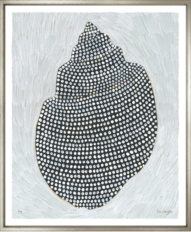 Shell Colleciton