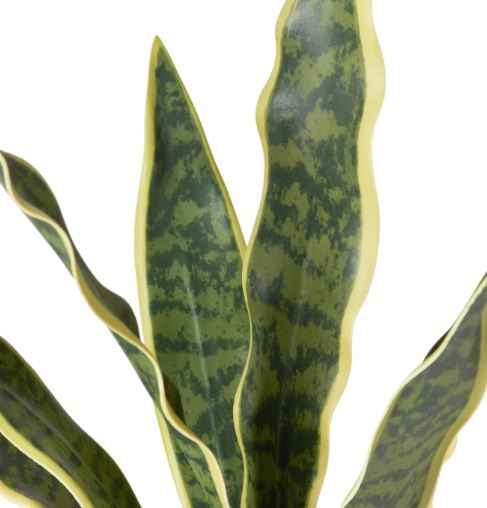 Riviera Ceramic Potted Faux Snake Plant