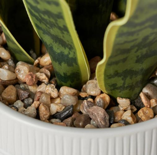 Riviera Ceramic Potted Faux Snake Plant