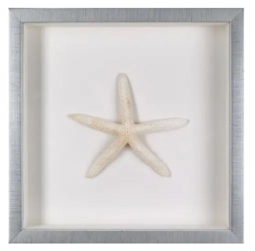Starfish Natural