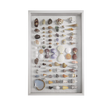 Large Tahiti Shell Collection