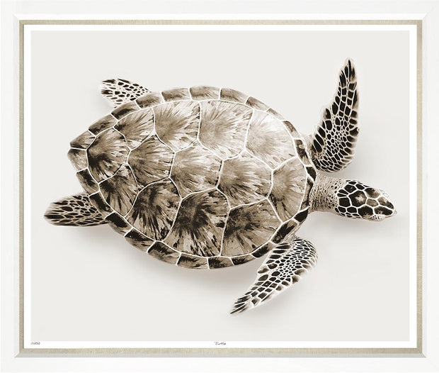 Turtle - Right Facing