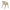 Aero Dining Chair