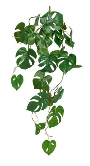 Monstera Leaf Vine Spray