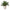 Faux Verdure Fern