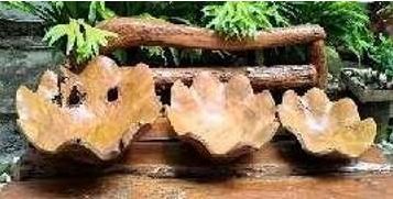 Large Decorative Bowl